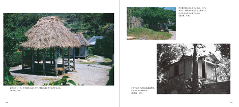 加計呂麻島 写真集