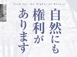 名古屋E&J法律事務所　自然の権利基金チラシ